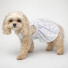 Dress me