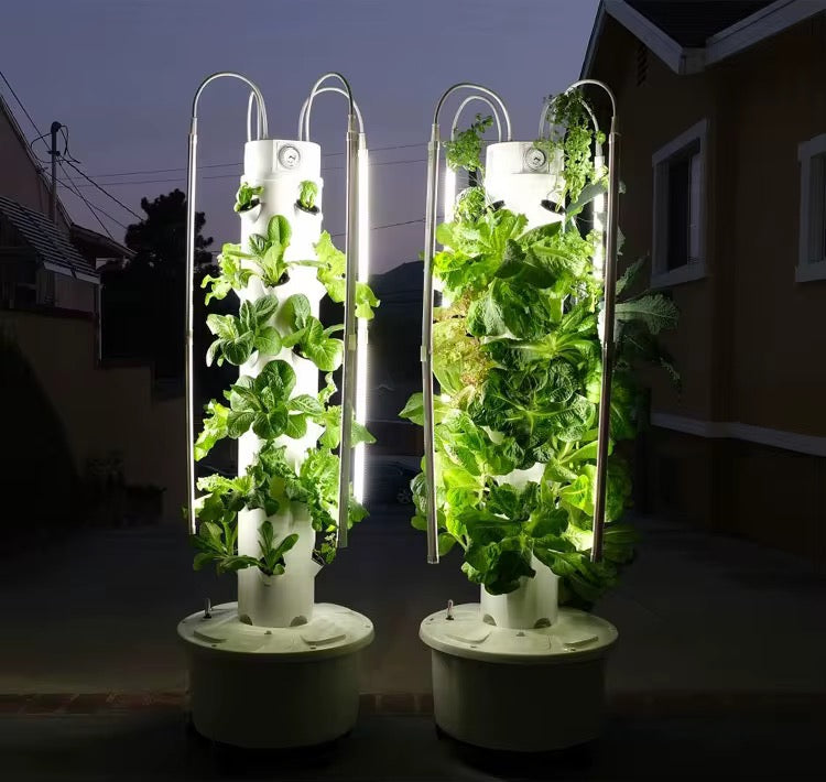 Hydroponic system