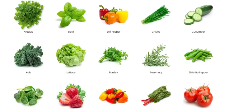 Indoor Fully Automatic Multi-Layer Hydroponic Vegetable Growing Cabinet