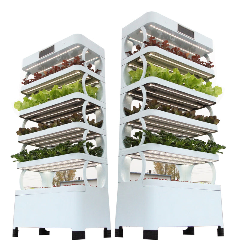 Indoor Fully Automatic Multi-Layer Hydroponic Vegetable Growing Cabinet-3