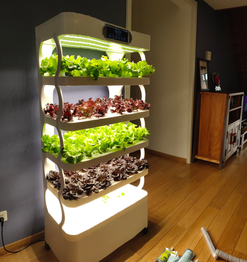 Indoor Fully Automatic Multi-Layer Hydroponic Vegetable Growing Cabinet-1
